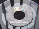PAT BOONE: Some Enchanted Evening   Popcorn 45   DOT Gold Star Studio   EX/EX