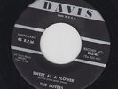 THE DOVERS Sweet As A Flower 45 on Davis rare doo-wop clean M-  HEAR