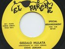 Rare Latin Soul 45 - Steve y Rio Jordan - Gozalo Mulata - El Parche # 041 - M-