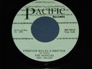 NORTHERN SOUL 45   THE MONZAS, HEY I KNOW   FOREVER WALKS A DRIFTER   PACIFIC 7