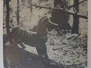 Fox Hollow Folk  Festival 1967 Petersburgh NY  Vol. III 