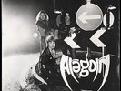 ARAGORN - Black Ice - SP 7
