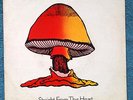 The Allman Brothers Band – Straight From The Heart - 1981 7