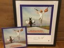 Rolling Stones: Get Yer Ya-Ya's Out - Clear Vinyl + Framed Lithograph Limited