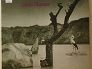 Tonton Macoute UK rare original prog psych LP RCA Neon Martin Rushent