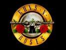 2 Places CARRE OR Guns n Roses Stade de France 7/07/2017