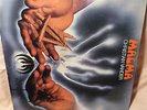 MAGMA / CHRISTIAN VANDER 