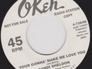 MAJOR LANCE YOU DONT WANT ME NO MORE - SANDI  SHELDON - YOUR GONNA MAKE ME LOVE
