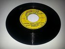 PANTHER/THROW AWAY YOUR GUN - BUSTY BROWN & THE WARNERS [REGGAE]  7