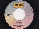 '59 Hot Blues Guitar LIGHTNIN HOPKINS Let's Move/I'm Achin' HERALD 542 VG++ HEAR