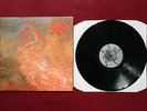 Vinyl LP - Morbid Angel, Blessed Are The Sick   ERSTAUFLAGE