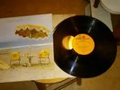 Neil Young on the Beach vinyl