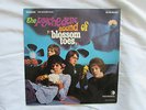 UK PSYCH PROG BEAT ITALIAN ITALY PRESS BLOSSOM TOES THE PSYCHEDELIC SOUND OF