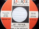 DINO & The DIPLOMATS doowop PROMO 45 I Can't Believe  My Dream vg++ LAURIE FM549