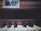 Ben Folds Five by Ben Folds/Ben Folds Five (Vinyl, Jul-2011, Plain Recordings)