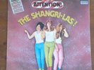 THE SHANGRI-LAS-Attention-RARE--NEW ZEALAND/