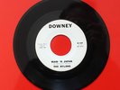THE NYLONS  MAID 'N JAPAN b/w MAID 'N JAPAN // Exotic Surf Instro // Downey 45
