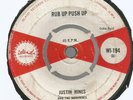 JUSTIN HINES - RUB UP PUSH UP / THE ARK        7