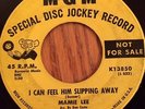 MAMIE LEE - NORTHERN SOUL 45 - I CAN FEEL HIM SLIPPING AWAY