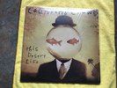 COUNTING CROWS.THIS DESERT LIFE. M-