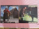 2 LPs STEVIE RAY VAUGHAN & DOUBLE TROUBLE Soul to Soul/Couldnt Stand the Weather