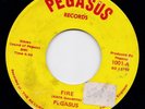 Pegasus US 45 * Fire * Psych Funk 1973 Garage