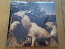 Interpol Our Love to Admire Vinyl LP Near Mint