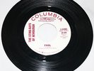 Rare Garage/The Sting-rays Of Newburgh /