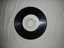 Blank Muzik City...Peter Tosh & The Gaylads..Rasta Shook them up
