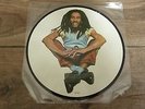 Bob Marley & The Wailers - Could You Be Loved 1980 UK 45 ISLAND PICTURE DISC
