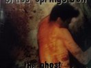BRUCE SPRINSTEEN - The Ghost Of Tom Joad - Vinyl LP Album - 1995 - very rare