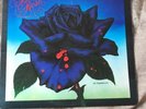 THIN LIZZY BLACK ROSE LP 1979 Warner Bros BSK 3338 VG+