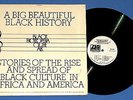 A BIG BEAUTIFUL BLACK HISTORY -SPOKEN WORD BLACK HISTORY VINYL--RARE