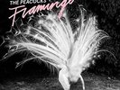 THE PEACOCKS - Flamingo