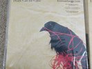 Death Cab For Cutie - Transatlanticism (10th Anniversary Editi 180g [Vinyl New]