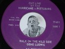 Private Press Jazz 45 GENE LUDWIG Walk On The Wild Side Hurricane Pittsburgh