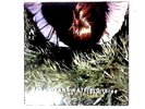 Become What You Are  Vinyl (The Juliana Hatfield Three) 4509-93529-1 (ID:14888)