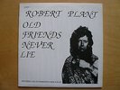 Vinyl   Robert Plant  