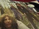 MOTT THE HOOPLE ? WILDLIFE ? TOP CONDITION   1971 ENGLISCHE PRESSUNG KLAPPCOVER