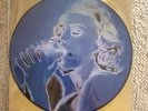 Madonna Erotica Picture Disc