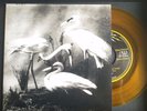 The Dead Weather • Buzzkill(er)/It's Just Too Bad • EXCLUSIVE Third Man Vault