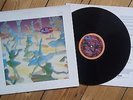 Belly Star LP 1993 original 4AD Throwing Muses