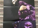 DEAD OR ALIVE PETE BURNS STUNNING POSTER YOUTHQUAKE 20