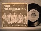 THE TRADEMARKS private press picture sleeve Boston power pop, garage band 45