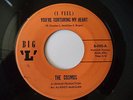 DooWop Soul Crossover - Cosmos - Big L 502 - You're Torturing My Heart