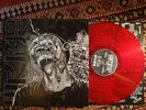 Wormrot - Dirge LP Insect Warfare