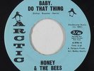 Funk 45 - Honey & The Bees - Baby, Do That Thing - Arctic - VG+ mp3
