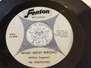 The Penetraters 45 What Went Wrong Fenton Records Rare Michigan Garage