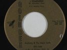 Northern Soul 45 - Anthony & The Aqua Lads - I Remember - Gold Bee - VG+ mp3