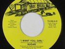 Sweet Soul 45 - Sugar - I Want You, Girl - True Soul - VG+ mp3